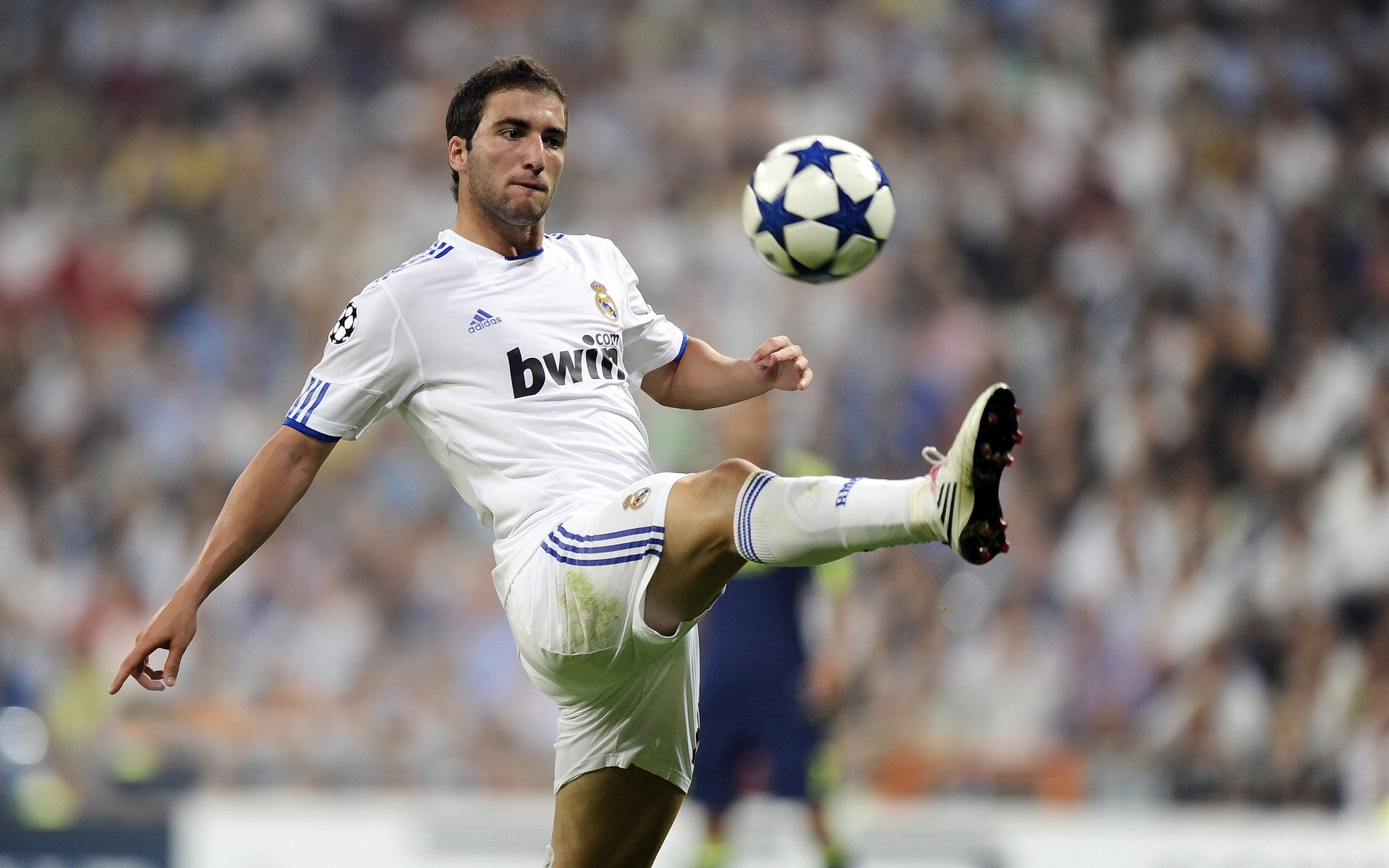 从逆境到荣耀:追寻那段难忘的夺冠历史,从逆境中走出来的经历