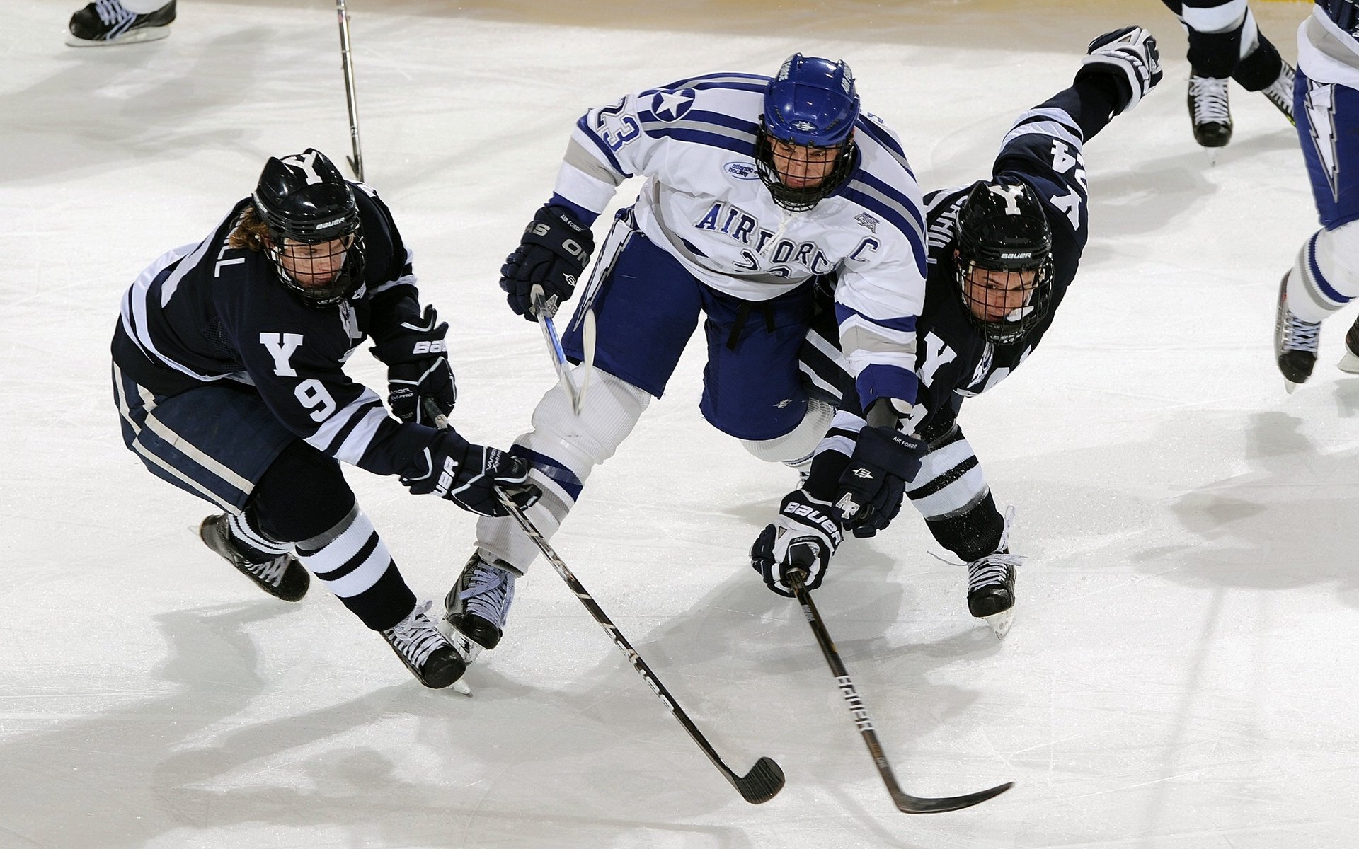 寻求破门：柏林联盟对决弗赖堡求首胜，柏林联合球迷