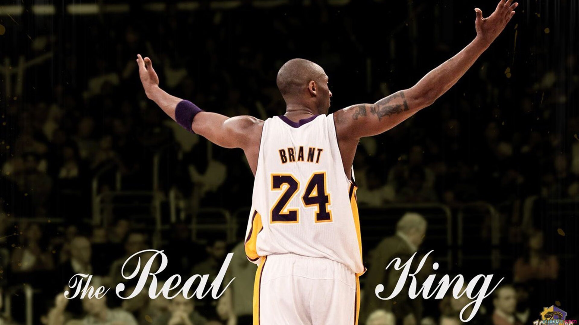 开云体育网站入口-明日之星！青少年篮球天才集中亮相全国青年赛，全国青少年篮球俱乐部冠军联赛